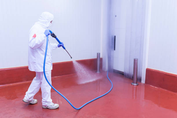 Best Roof Washing  in Melwood, MD